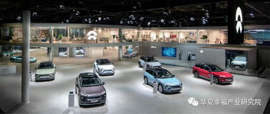 產(chǎn)業(yè)觀察丨從產(chǎn)品陣容看中國電動汽車企業(yè)后補貼時代的應對策略